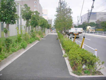 湾岸工業地帯の道路１