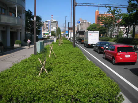 川崎市内の国道１号線その４