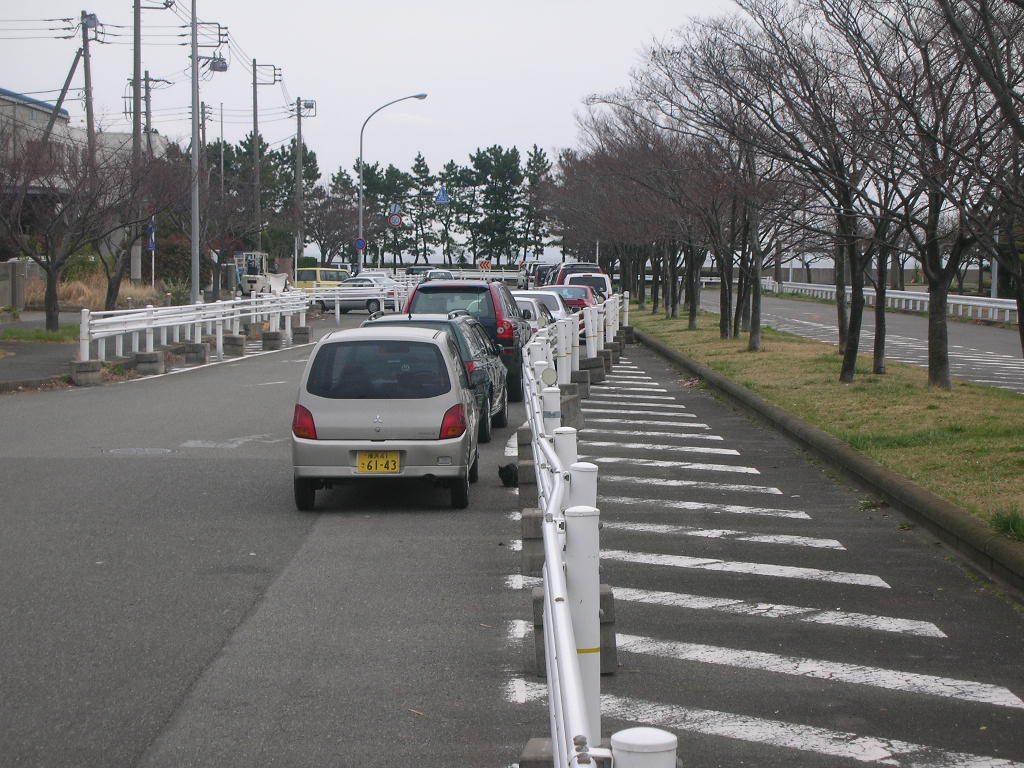 湾岸公園の道路１