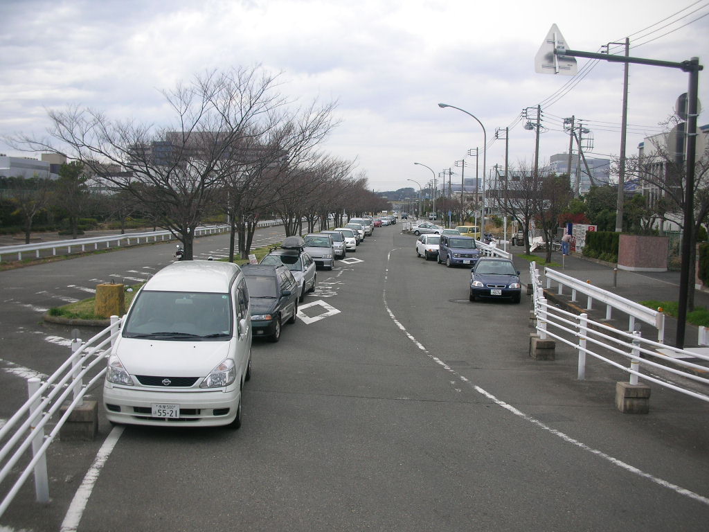 湾岸公園の道路４