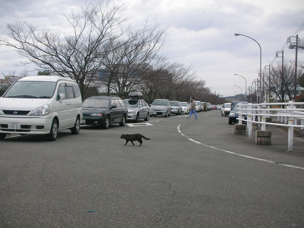 湾岸公園の道路５